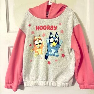 Kids Bluey Hoodie - Pink and Gray